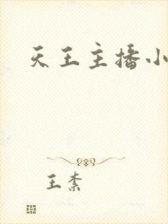 天王主播小说