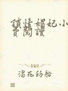 锁情媚妃小说免费阅读