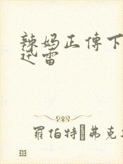 辣妈正传下载 迅雷