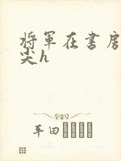 将军在书房含乳尖h