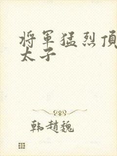 将军猛烈顶弄h太子