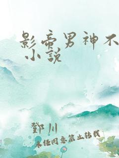 影帝男神不节制 小说