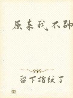 原来我不帅小说