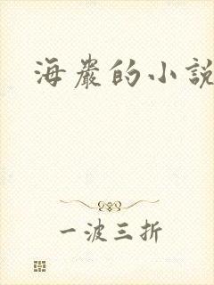 海岩的小说