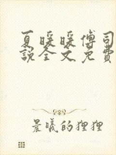 夏暖暖傅司寒小说全文免费阅读