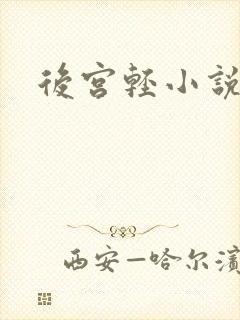 后宫轻小说