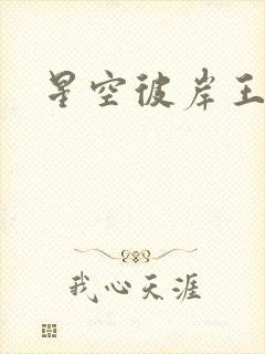 星空彼岸王轩