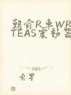 朝俞R车WRITEAS震动器