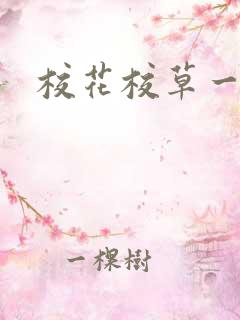 校花校草一起拽