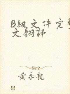 B级文件完整中文翻译