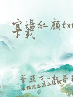 官场红颜txt下载