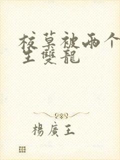 校草被两个体育生双龙