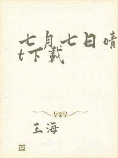 七月七日晴txt下载