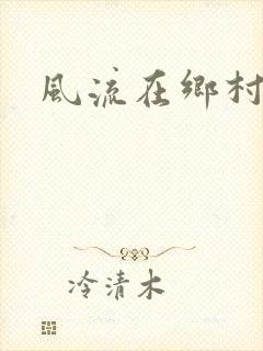风流在乡村