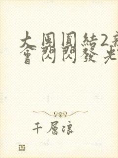 大团圆结2亲情会闪闪发光目录