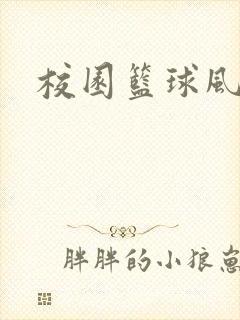 校园篮球风云录