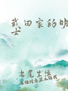 武田家的明国武士