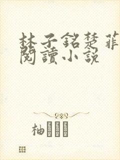 林子铭楚菲免费阅读小说