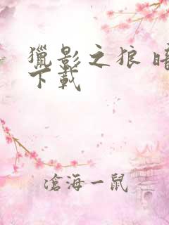 猎影之狼 暗夜下载