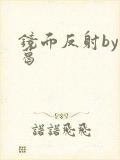 镜面反射by九葛