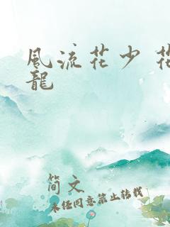 风流花少 花睿龙