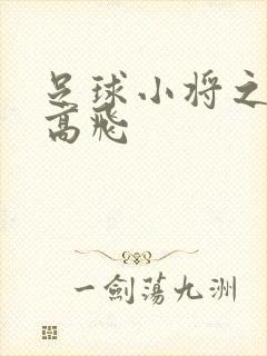 足球小将之展翅高飞