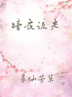 暗夜流光