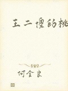 王二傻的桃花运