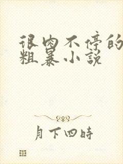 很肉不停的做很粗暴小说