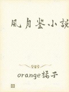 风月鉴小说论坛