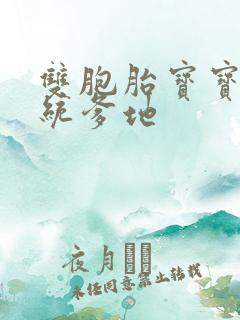 双胞胎宝宝的总统爹地