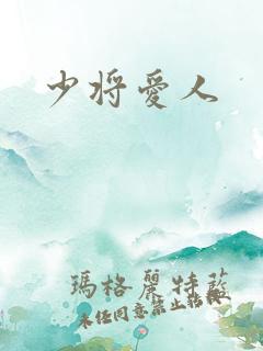 少将爱人