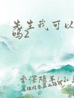 先生我可以上你吗2