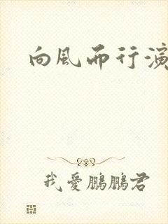 向风而行演员表