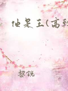 他是王(高干)