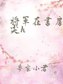 将军在书房含乳尖h