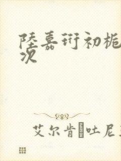 陆嘉珩初栀第一次