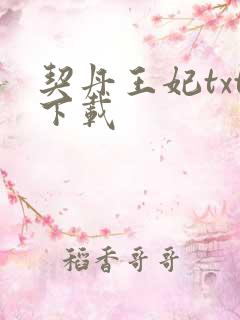 契丹王妃txt下载