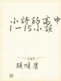小诗的高中日记1一15小说