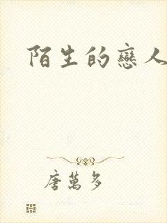 陌生的恋人小说