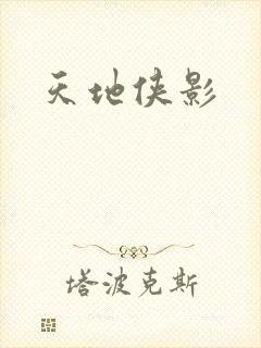 天地侠影