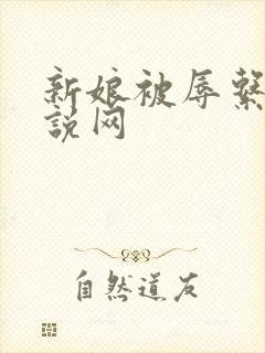 新娘被辱系列小说网