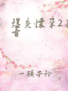 爆炎怀孕2在线看