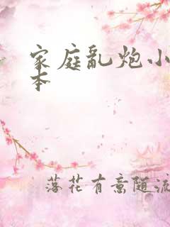 家庭乱炮小说全本