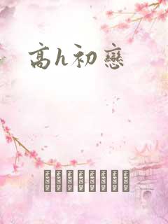 高h初恋