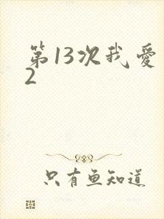第13次我爱你2