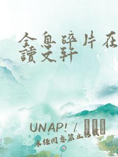 全息碎片在线阅读文轩