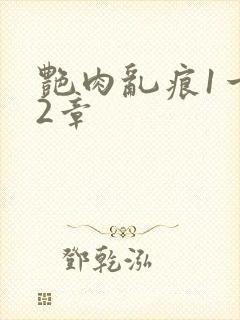 艳肉乱痕1一12章