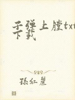 子弹上膛txt下载