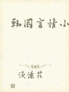 韩国言情小说